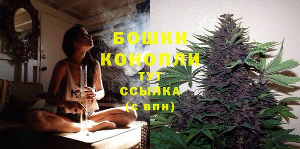 бошки Алзамай