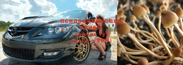 амф Козельск
