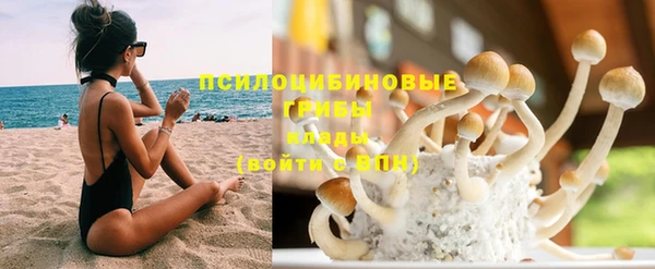 ГАЛЛЮЦИНОГЕННЫЕ ГРИБЫ Алексеевка