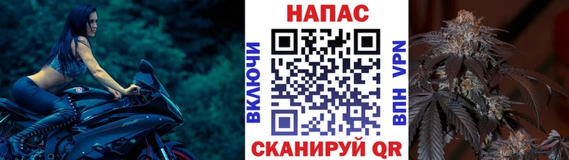 Бошки марихуана ГИДРОПОН  цены наркотик  Себеж 